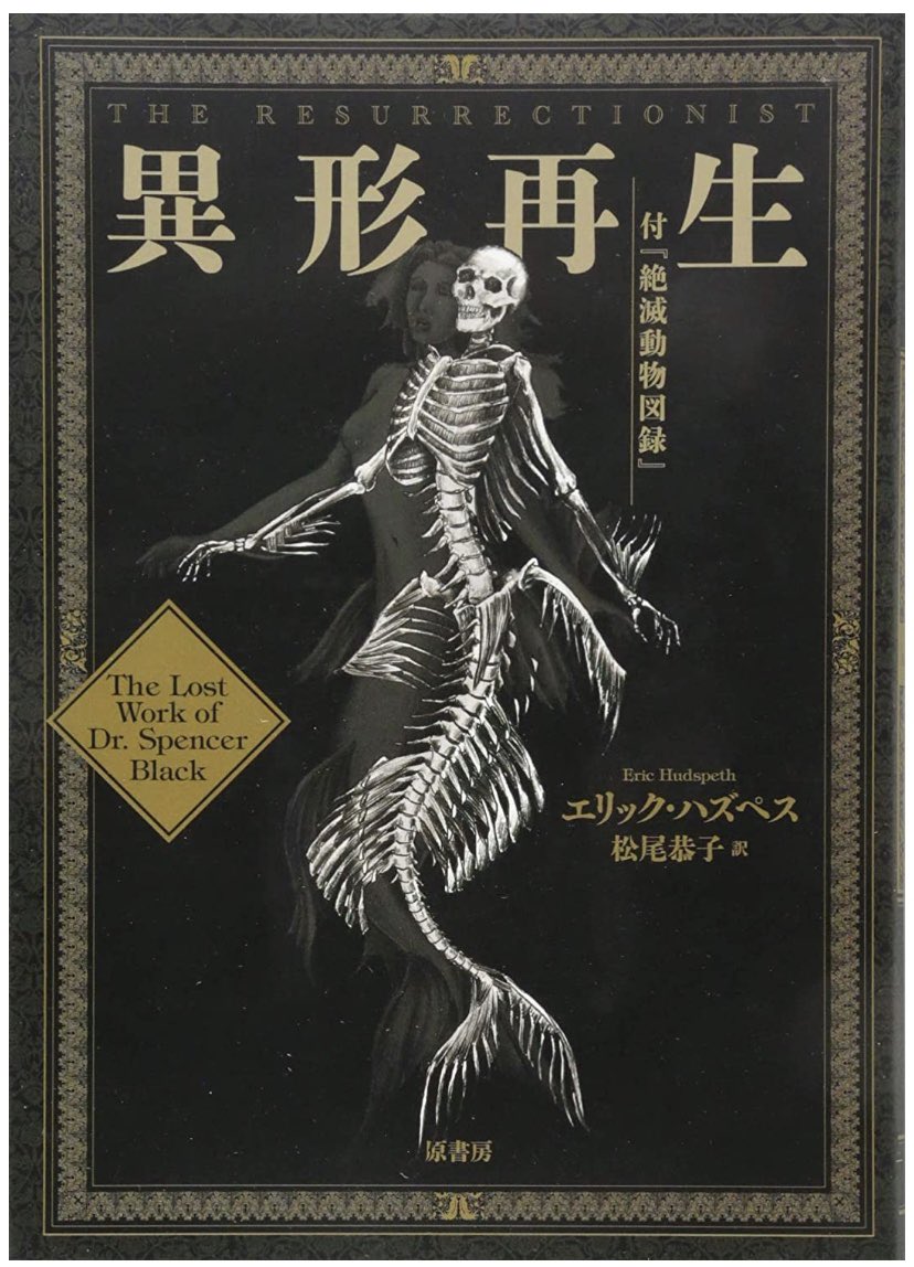 にしき 通頒 最近購入した本でおススメの一冊を 架空生物や神話生命体の骨格や臓器を記した図鑑 というよりは挿絵付き空想 すこしふしぎ 小説 生物学の基本書と添えて読みたい本 異形再生 付 絶滅動物図録 T Co Qr3lrhxwzn Amazon