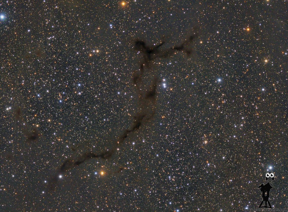 clima_gce's tweet photo. #B150 - Nebulosa del caballito de mar
Via:@apod
-Fecha en que se tomó la imagen: 21/8/2020
-Descripción de la imagen:
Nebulosas oscuras en #Cepheus
Imagen tomada desde los cielos de #Bortle2 en #Teruel, #España
Autor: @CielosBoreales
https://t.co/D0jA1rf7vk https://t.co/EoO0o3M6Gn