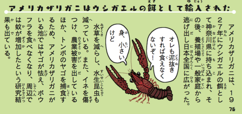 ザリガニの特定外来生物指定の件。SFホラーを絵に描いたような激ヤバ生物ミステリークレイフィッシュ(https://t.co/I1NSzJmws8)は当然だけど、アメリカザリガニも水草を食い尽くしてしまう激ヤバ生物なので、飼育するならマジで気をつけてほしい。
https://t.co/2pMWaH6isD 