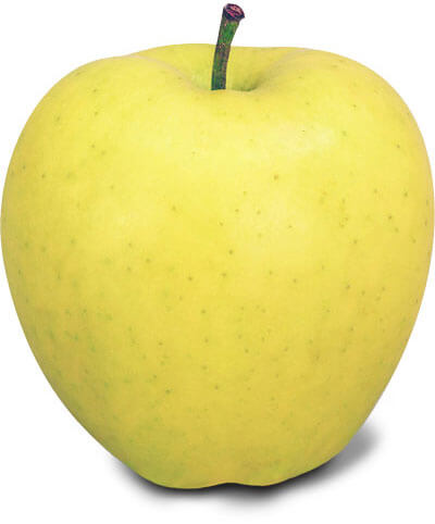 7. Golden DeliciousCrisp and SweetThe Golden Delicious is a perfect pick for any recipe. Sweet and mellow, this crisp apple has a tender golden skin, and its flesh stays white after slicing for longer than other apple varieties.