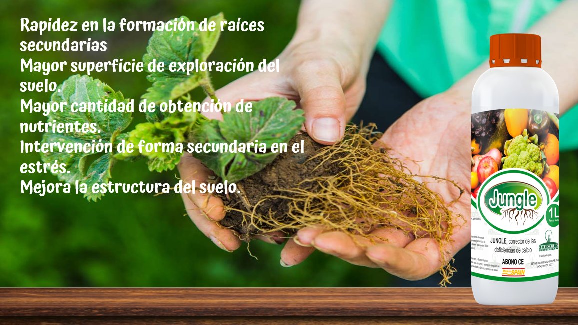 HefeFertilizer's tweet photo. 🔥🔥MAXIMIZA TUS RAICES🔥🔥 https://t.co/urtXEBmr8v