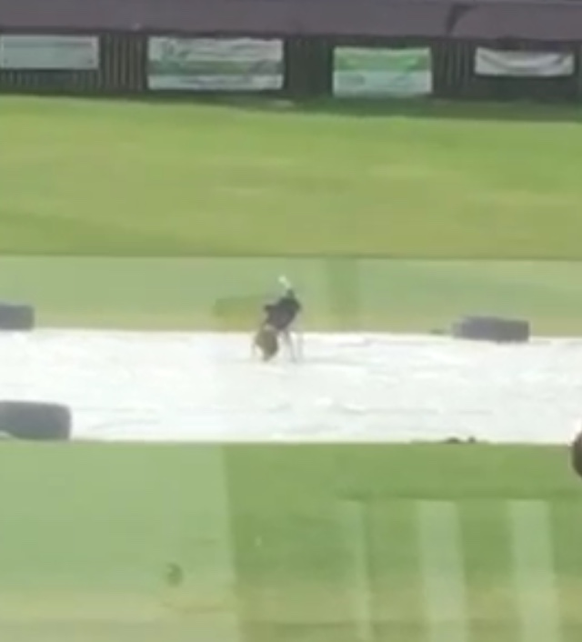 If you walk your dog on the cricket field, please avoid the square (the middle part of the ground where the wickets are cut for play, the wickets are the shorter pieces of grass with markings and can be seen covered in the photo below) Please, if your dog litters PICK UP THE MESS