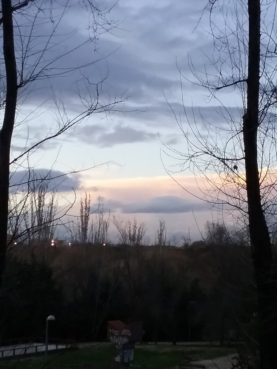 Teresa Fernandez (@teresaf35309694) on Twitter photo 