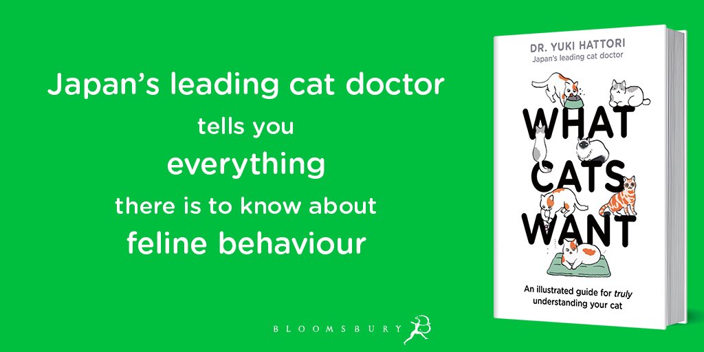 What Cats Want: An Illustrated Guide for Truly Understanding Your