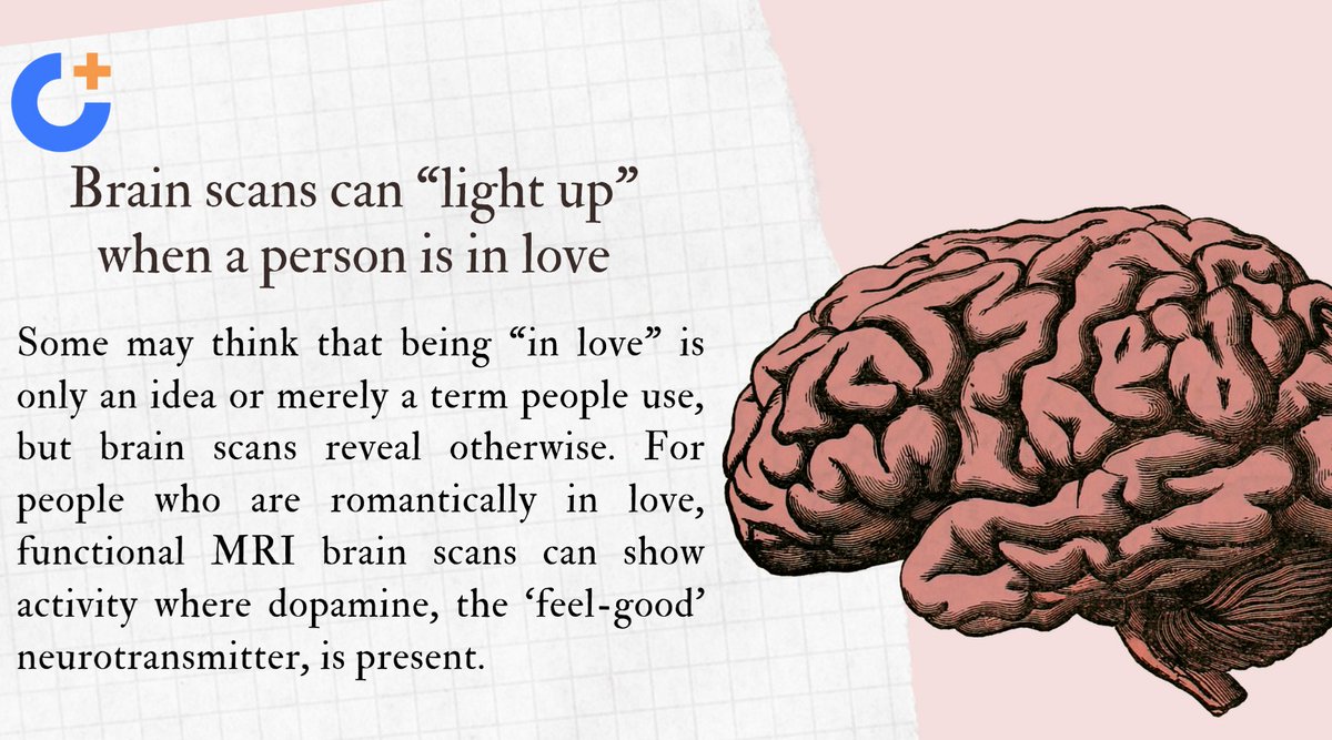 CurusHealth's tweet photo. A study published in the journal Frontiers in Human Neuroscience found that these MRI scans could be used to accurately determine what stage of romantic love a person is in based on the brain activity.
#love #romance #brain #feelings #lovers #emotions #passion #CurusHealth https://t.co/0y37wWd7fo