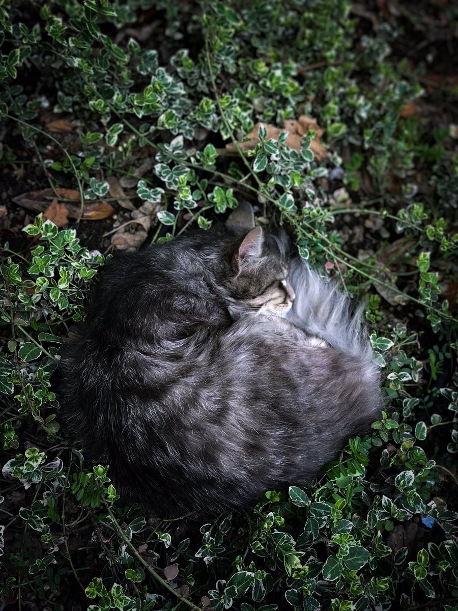 NATPICSs's tweet image. 