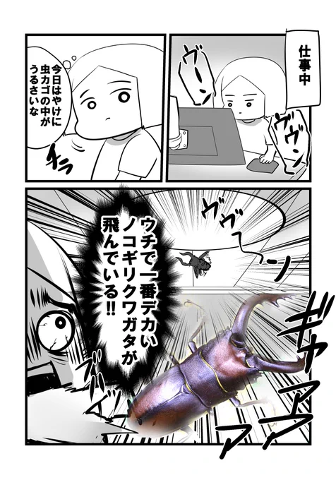 来年への誓い- 