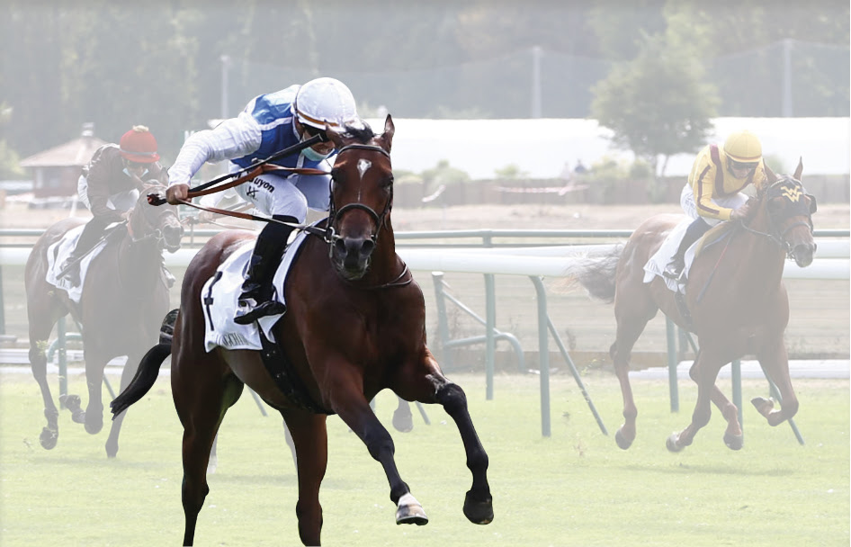 🌪 KALAHARA, LA SORTIE DU DÉSERT Cela fait un moment que nous n’avions pas vu un 2ans français aller aussi vite. Kalahara a gagné le Prix d'Arenberg (Gr3) en 55’’84, un temps suffisant pour remporter huit des dix derniers Prix de l’Abbaye. Article👉🏻 bit.ly/3lRdahS