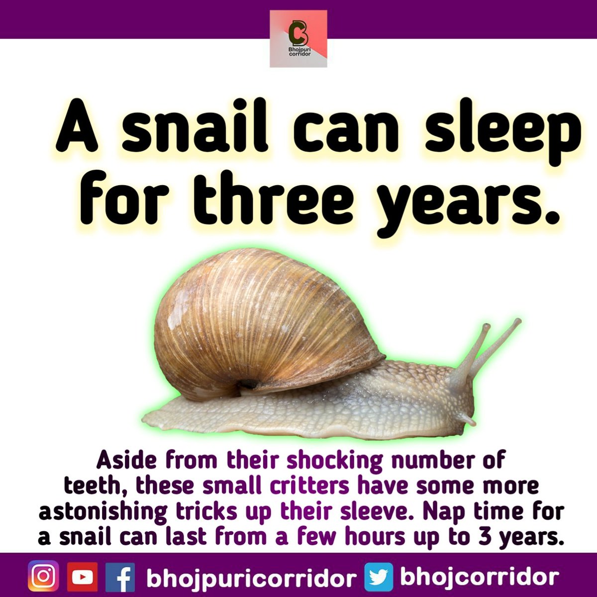 BhojCorridor's tweet photo. Did you know 🤔
Fact of the Day !! 😎

#facts #fact #facts💯 #facts‼️ #factsoflife #factz #factz💯 #weirdfacts #funfact #funfacts #funny #crazyworld #Fact #Facts #FactCheck #nature #naturelovers #naturelover #natural https://t.co/5xeRJrzndF