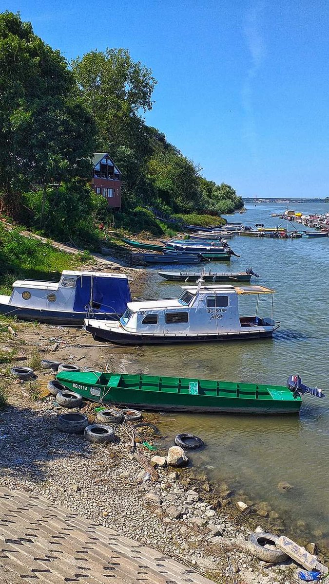 GoranBogicevic1's tweet photo. Dobro jutro #narodemoj lep #petak svima #radecki #dunav #zemun https://t.co/eKJVpMxvmF