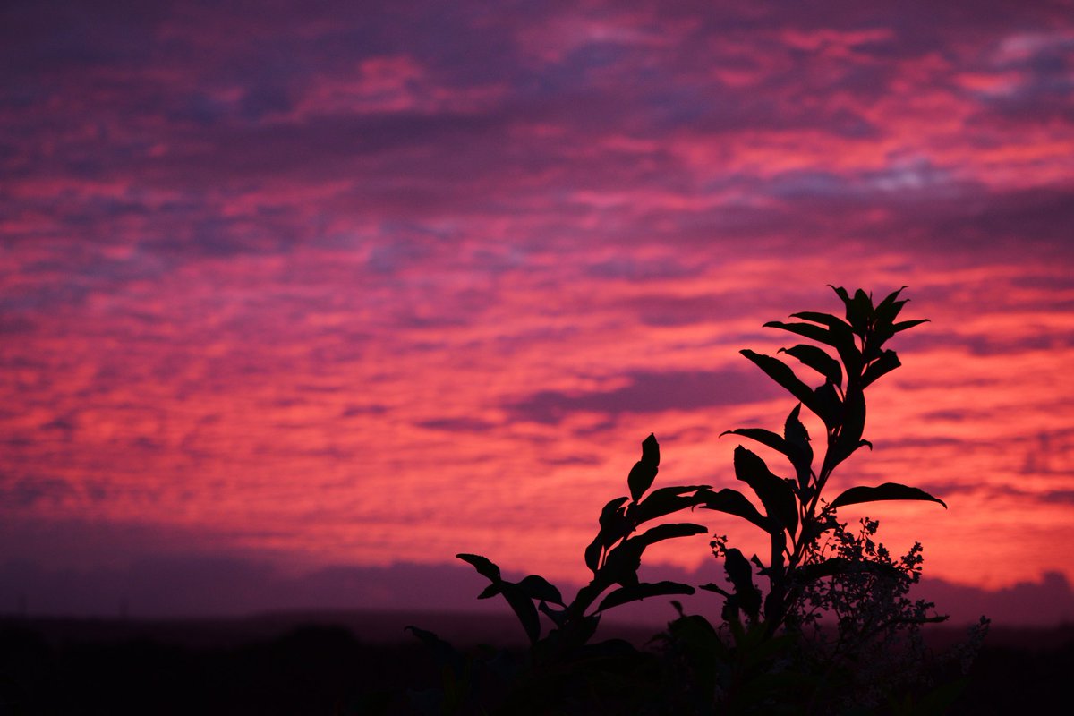 Dibbz86's tweet image. Fire in the sky.

#homeview #gardenview #grovesend #swansea

@kelseyredmore @Ruth_ITV @behnazakhgar @SteffGriff @meganeleri @CTywydd @ItsYourWales @WalesOnline @StormHour @ThePhotoHour @PicPublic @Sa4Magazine @BBCWalesNews