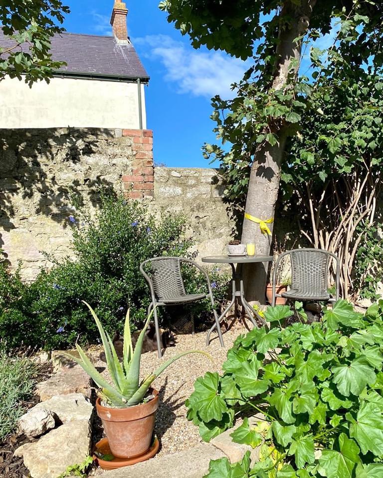 HHolmedale's tweet photo. Enjoying the sunshine whilst it was shining yesterday โ๏ธ having a nice turmeric latte too ๐ off to @CatsLlandudno all day so see yโall later ๐ป
#homestyling #homeaccounts #beautifulhomesfeature #interioraccounts #darkinteriors #homedecorblogger https://t.co/C8JV0TNAGx