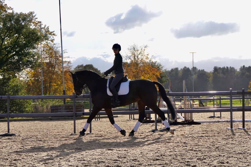 Catch up with our young rider ambassador #NYS #saddle #saddlefitter #northyorkshire #yorkshire #BE