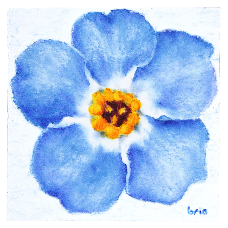 Brio Here Are All Three Flower Drawings So Far Rose Forget Me Not Cherry Blossom Individually And Together Via Photoshop Be Sure To Check Out My Youtube Channel To Watch Long