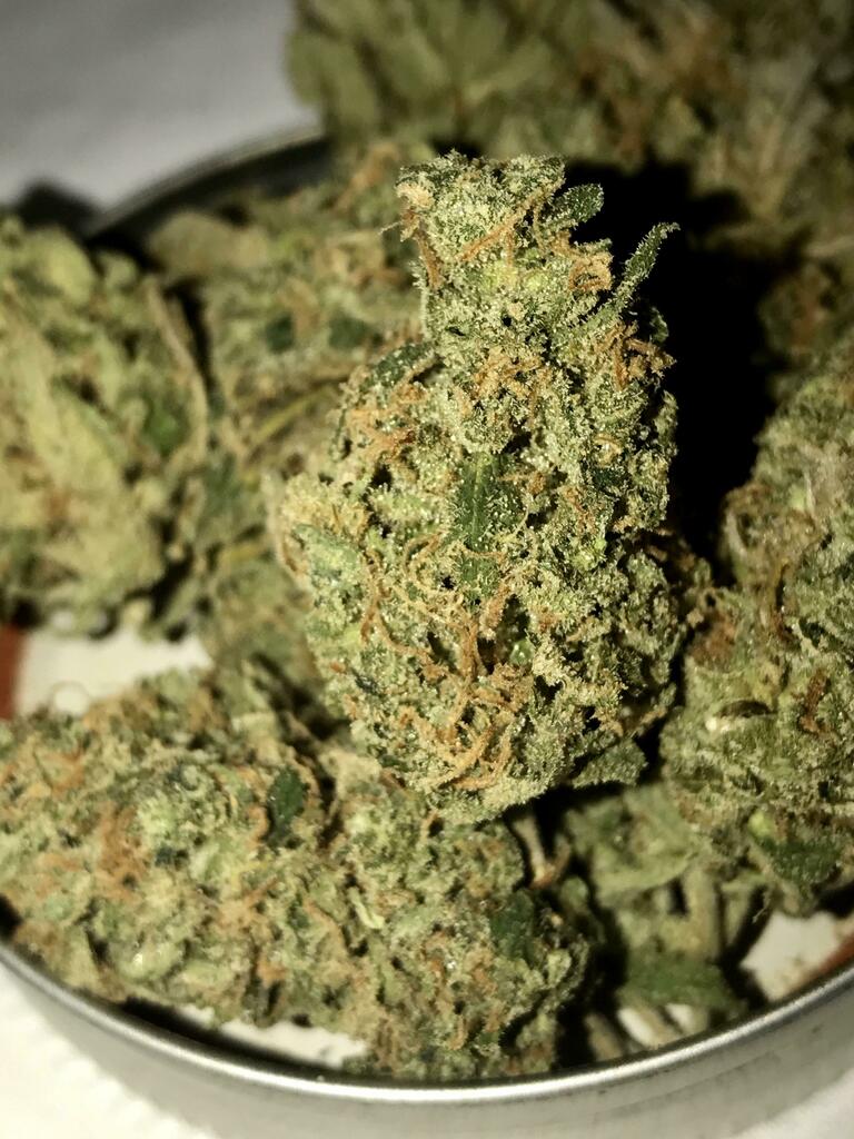 WeRTrippyHippy's tweet photo. Organic Lemon Haze https://t.co/dKYnV76MDn