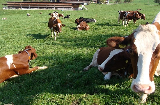 OpendataCH's tweet photo. Für alle die heute an die #openfarming Hackdays in Liebegg anreisen: ein Situationsplan gibt es hier https://t.co/3xy1o512MS https://t.co/iD4jP9UA1I