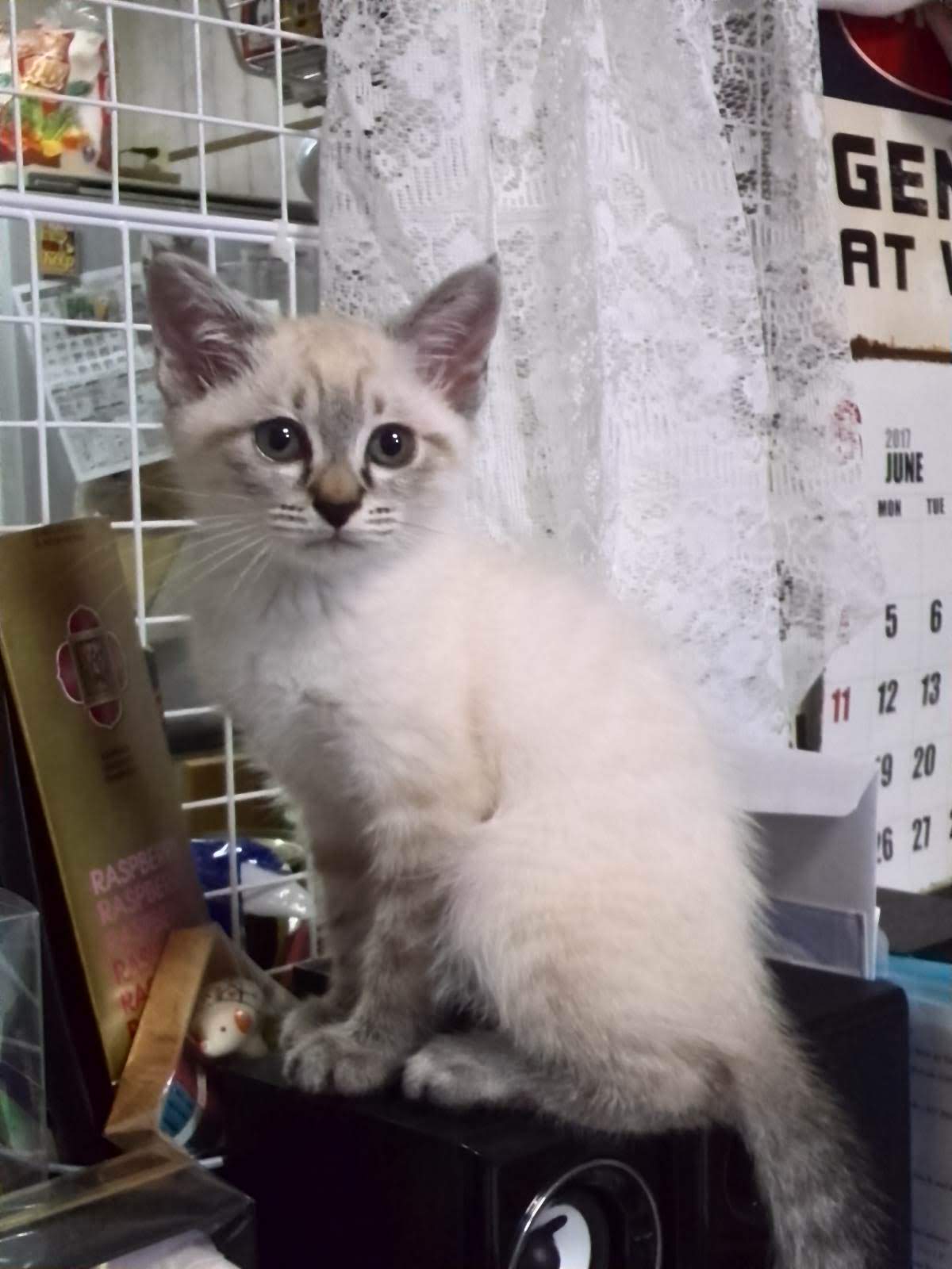 GAIN 42 (@GAIN421) / X