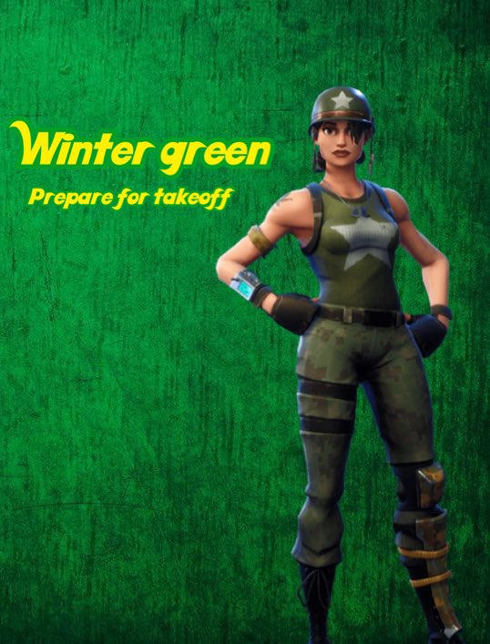 YomiBearFN's tweet photo. Winter green https://t.co/NknWuRpx9r
