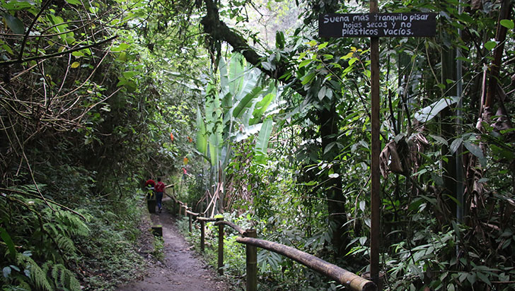croniquindio's tweet photo. #Quindío | 'Buscan proteger patrimonio natural con proyecto de turismo comunitario' @CalarcAlcaldia @CorpoQuindioCRQ #ProtecciónAmbiental #Ecoturistico léala completa aquí 👉 https://t.co/8XnHKWozp4 https://t.co/0t5ZrIP9Tc