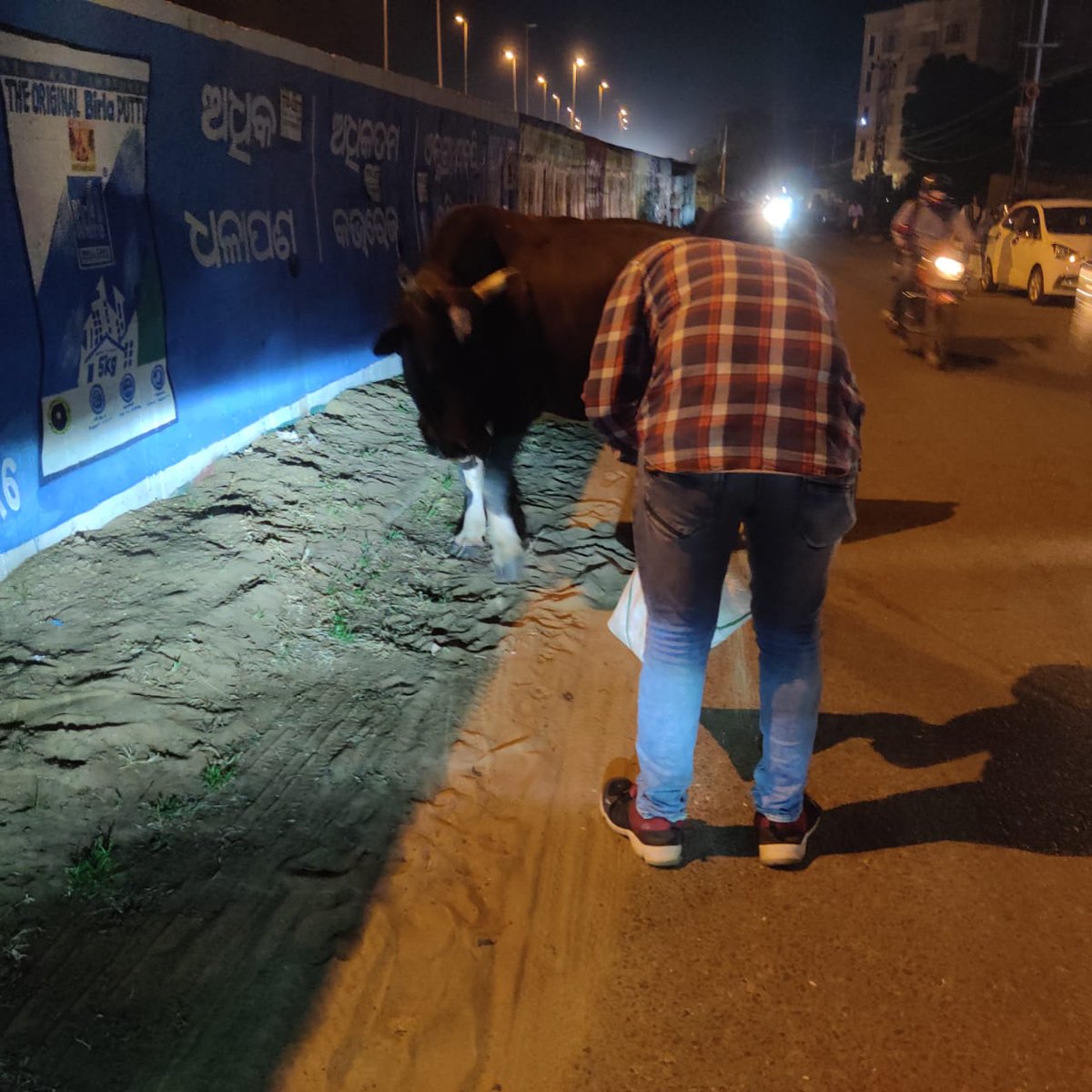 teamsevasft's tweet photo. #9th_Week
#Divya_Aadhaar
#Protection_to_Animals
#CONCERN_FOR_STRAY_ANIMALS_BY_SEVA_SOCIAL_FOUNDATION_TRUST
(Cows and Bulls are labelled with glow stickers in Bhubaneswar)BBSR-03.09.2020 
@BehuraGitanjali @teamsamarpita @aftab70782201 @Uditsahuodisha @sadasiba2013 @Sangram_Gala https://t.co/hooG03GbOB