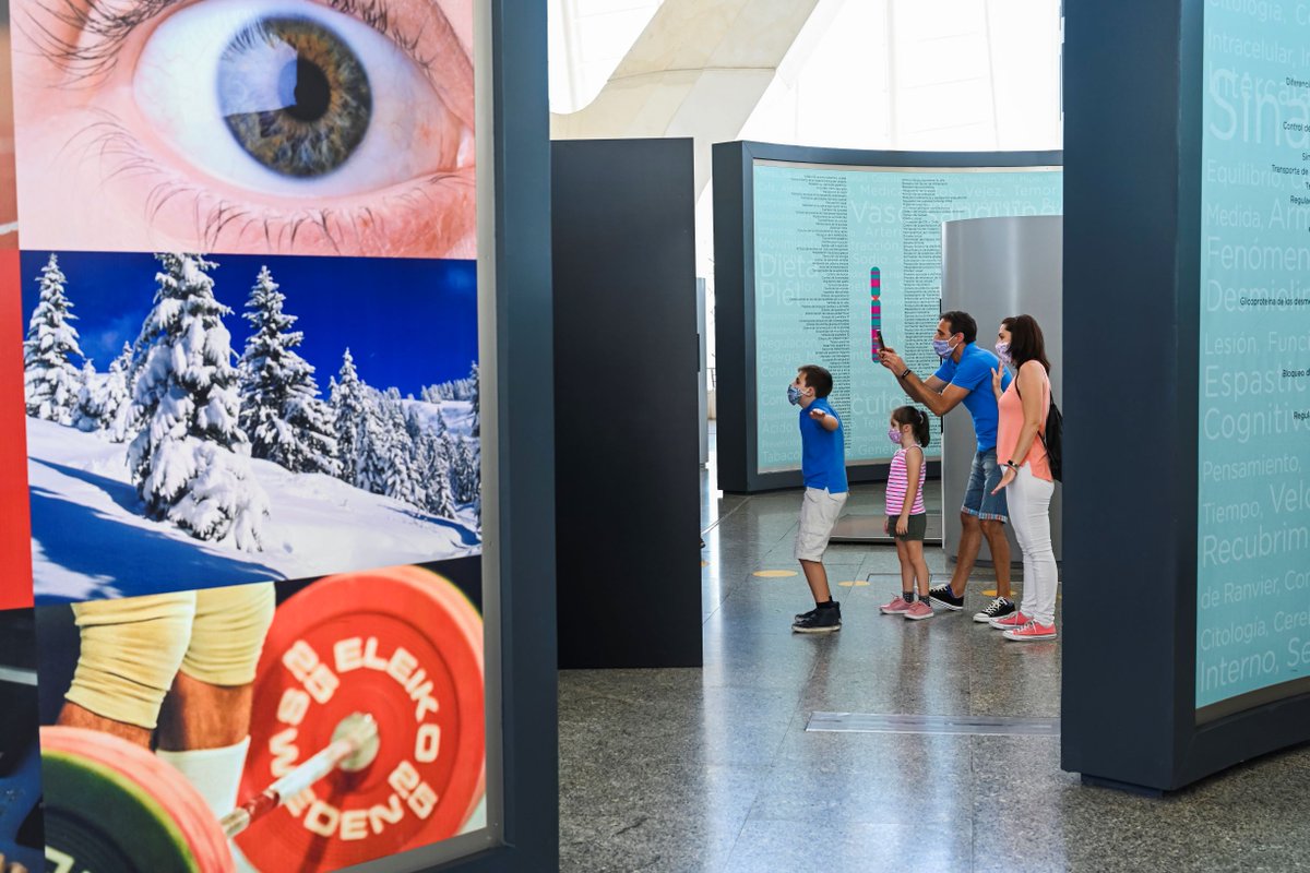 CACiencies's tweet photo. ➡️¿Cuánta agua necesitamos beber diariamente para poder vivir? 
➡️¿Cuánta saliva segregamos al día?  
➡️¿Qué funciones tiene la grasa de nuestro organismo?

Piérdete en el #BosquedeCromosomas del #MuseudelesCiències para descubrir cómo eres y cómo funciona tu cuerpo https://t.co/zAocg3FW9X