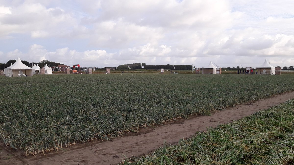 Michael Schippers tweet media