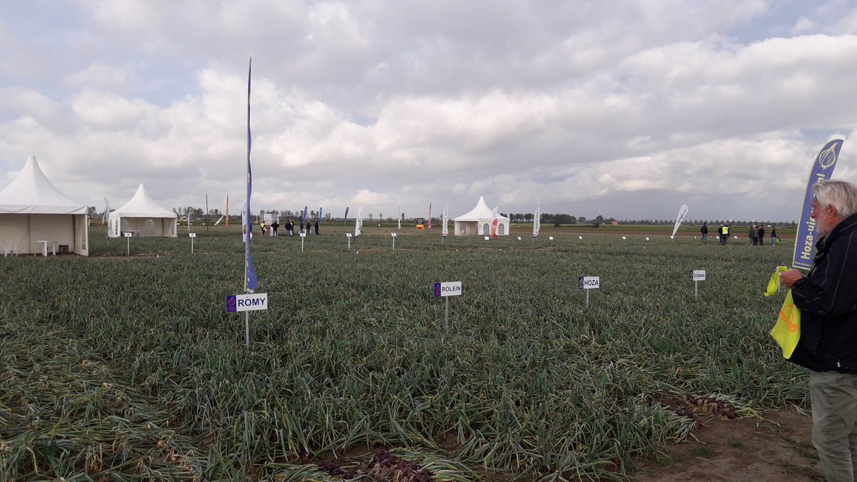 Michael Schippers tweet media