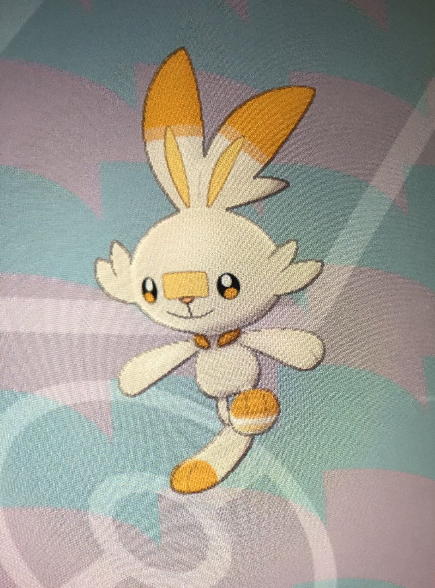 えりみ 出 色違い夢ヒバニー5v 求 画像参照お願いします ポケモン交換 ポケモン剣盾交換4 検索用 色夢ヒバニー T Co Vol2dzzr1l Twitter