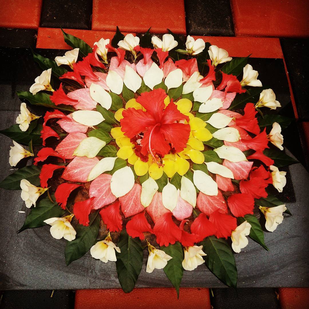 prashantDocean's tweet photo. @BergerPaintsInd O--ORumayude
N--Nanmayude
A--AGhoshangalude
M--Malayaliyude
Onam Varavayi !!!
HAPPY ONAM!
Picture of my fresh celebrations this Onam.
#EasyCleanFreshOnam
#BergerPaints
#EasyCleanFresh #PaintYourImagination
@BergerPaintsInd
@KulAnik8 @imChirag24 @tweettovikki
@diva_tulipss https://t.co/2aLMxK5rxr