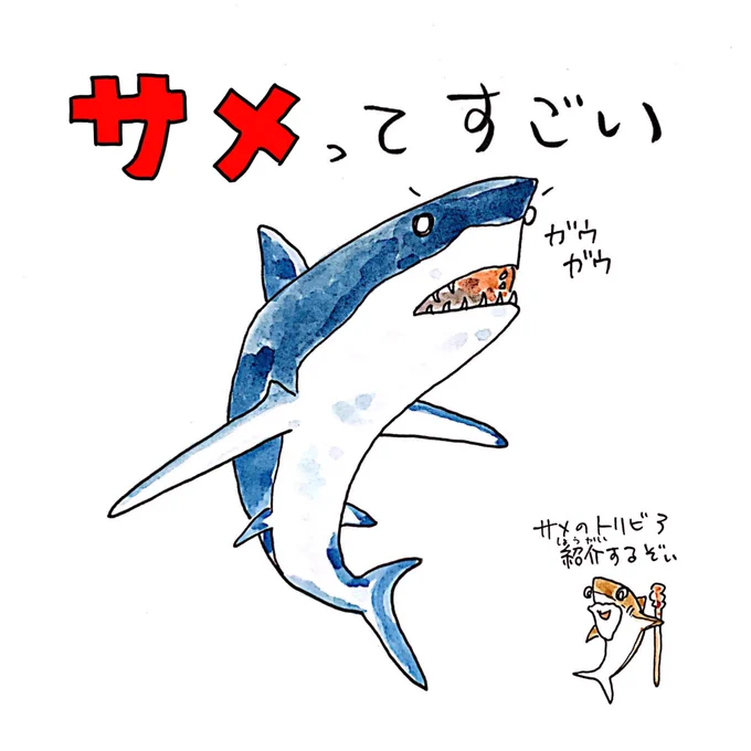 メガロドンは背びれだけで大人の身長ほどあるそうです。サメってすごい! 