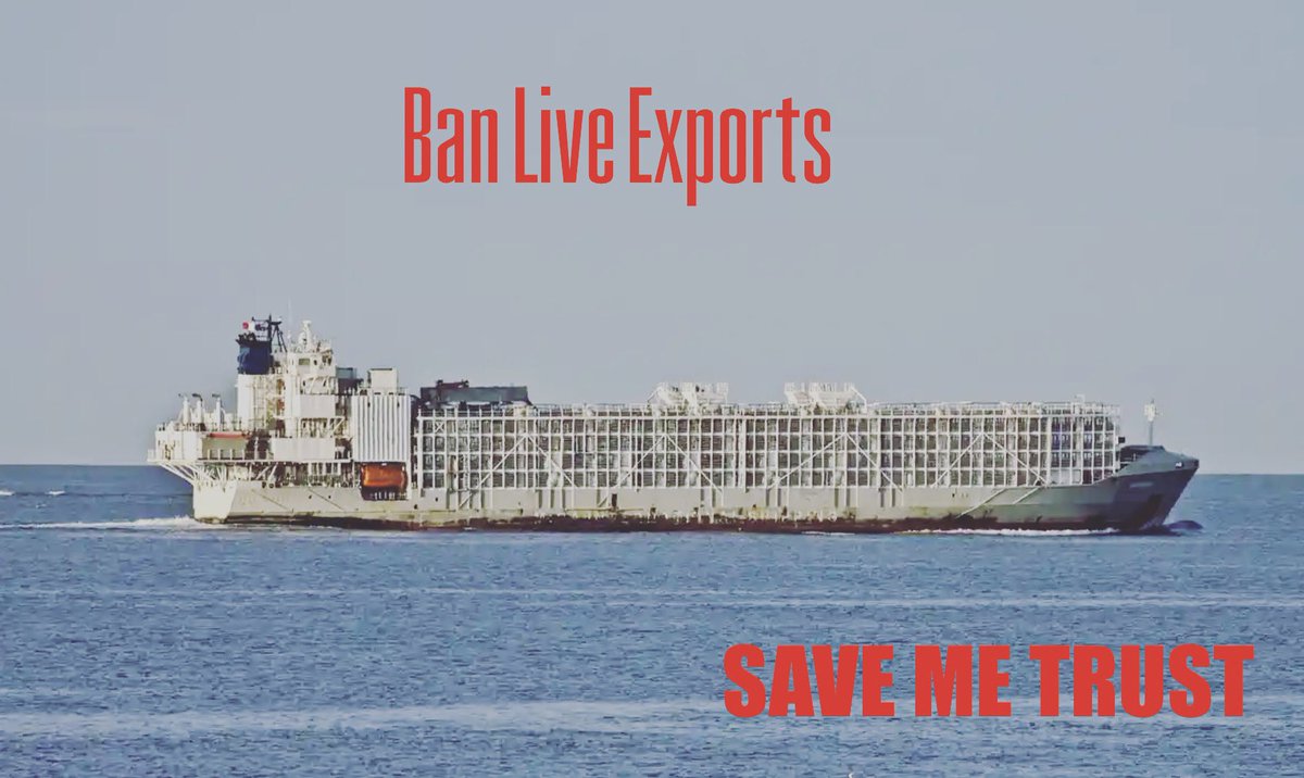 AnneatSaveMe's tweet image. Shocked &amp;amp; appalled that live export continues in any form.Our Hearts go out to the crew members families &amp;amp;the 6000 cattle entombed in a ship with no chance of escape from their horrifying fate. Trade can not continue to ignore morals and ethics. 
bbc.co.uk/news/world-asi…