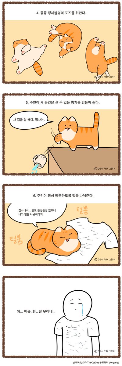 고양이의 매력 