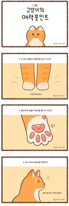 고양이의 매력 
