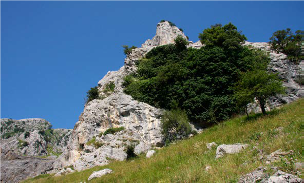 Bolinkoba cave is located on the northern flank of the Anboto mountain range, at 65 m above the Asuntze stream and at 430 m a.s.l. Bolinkoba was discovered by J.M. Barandiarán in 1931 and it has a rich archaeological sequence ranging from Gravettian to Magdalenian-Azilian.