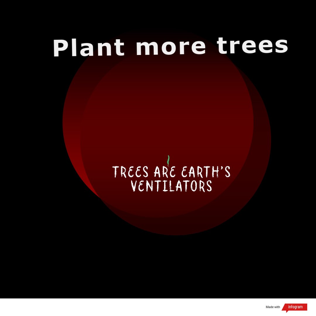 Plant more trees..  #plantsmakepeoplehappy