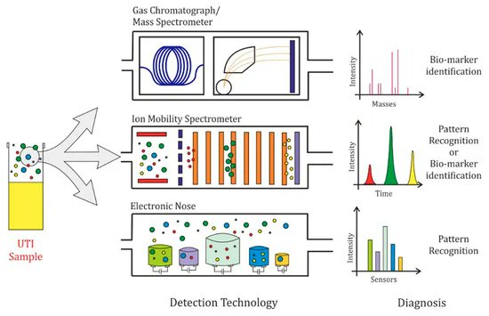 Biosensors_MDPI's tweet image. Sniffing Out Urinary Tract Infection—Diagnosis Based on Volatile Organic Compounds and Smell Profile 👉mdpi.com/2079-6374/10/8…
#eNose
#mdpibiosensors