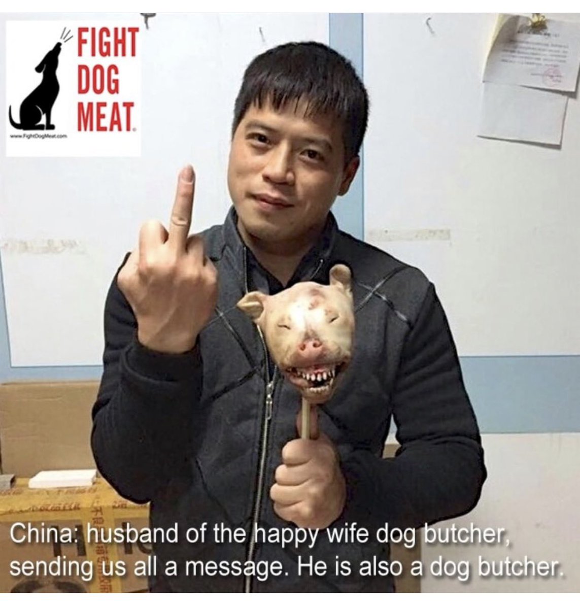 AndjelkaPe's tweet photo. 🟣 Message d’une petite 💩 de boucher chinois à tous ceux qui se battent contre cette horreur
#FightDogMeat https://t.co/w5QbBHNndS