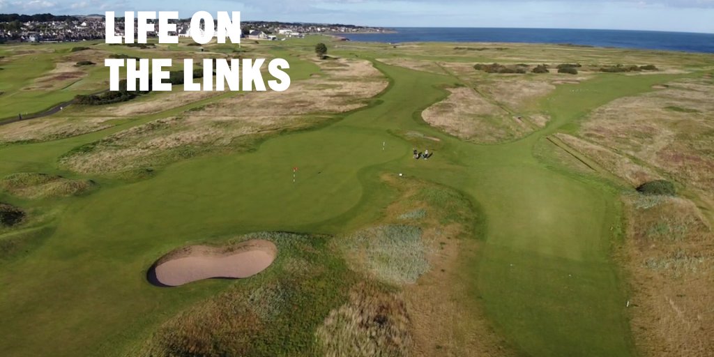 Some days are just made FORE golf 😉⛳️🏌️‍♀️💚 #golf #perfection #bucketlist