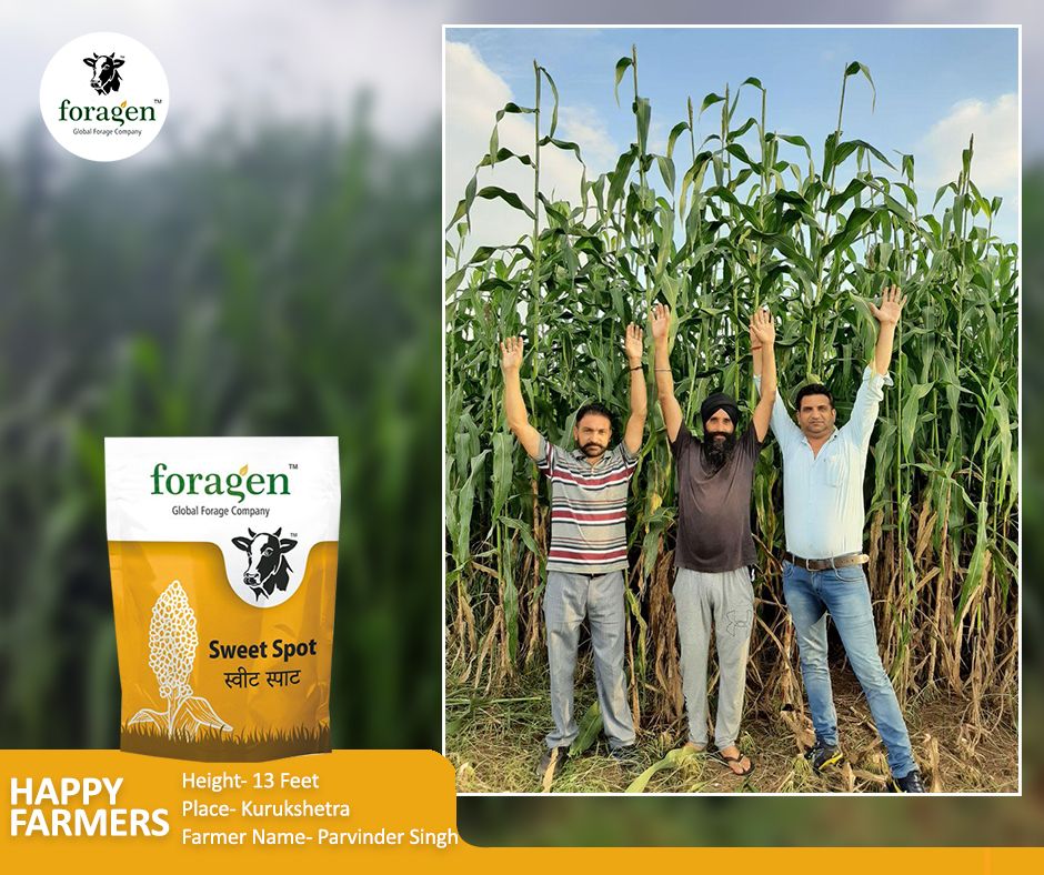 Foragen seeds pvt ltd (@foragenseeds) / Posts / X