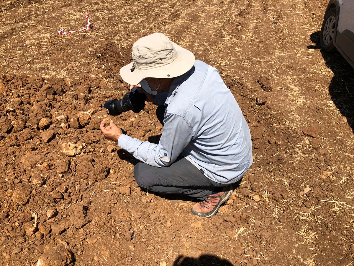 AgrisatSl's tweet photo. Continuamos con los trabajos en campo, esta vez han sido unas calicatas para describir los perfiles del suelo. Y cómo no, nuestros puntos de muestreo se seleccionaron a partir de un #MapaZonasManejo
#agriculturadeprecision #fertimaps #AgriSatwebGIS #teledeteccion #agronomia https://t.co/f9gvVRm6p9
