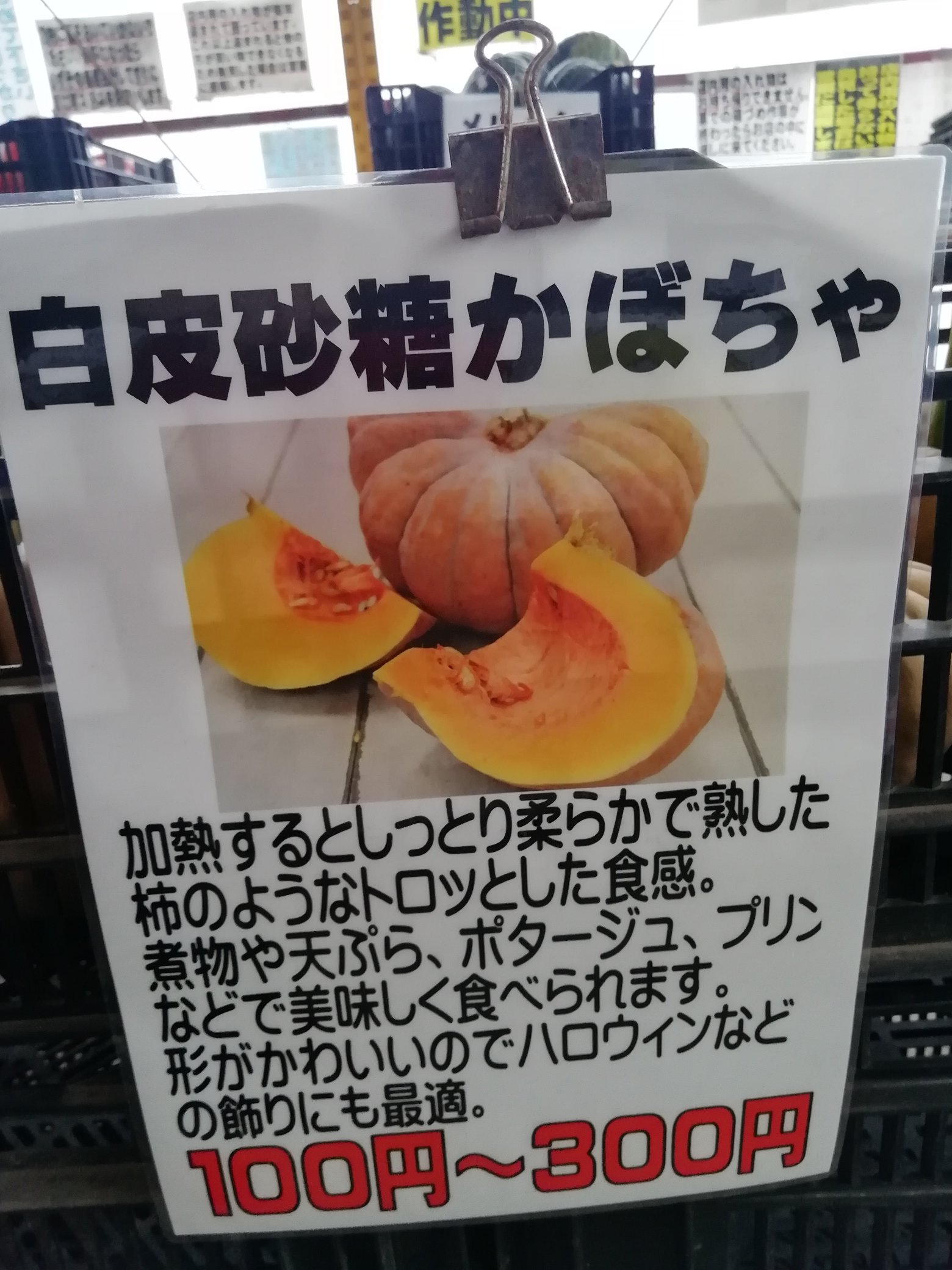 花のまつうら 白皮砂糖かぼちゃ販売開始です これで全種類お店にでました かぼちゃ 花のまつうら T Co Sfhkbbtwmg Twitter