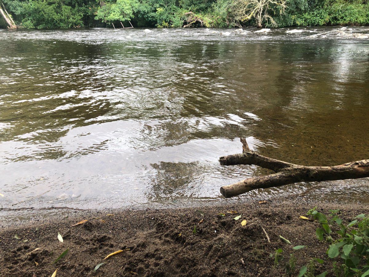 Soundingvisual's tweet photo. In one moment the river changes mood - the sun came out on the river Liffey yesterday.  #liffey #river #cellbridge https://t.co/r8M1Z7g713