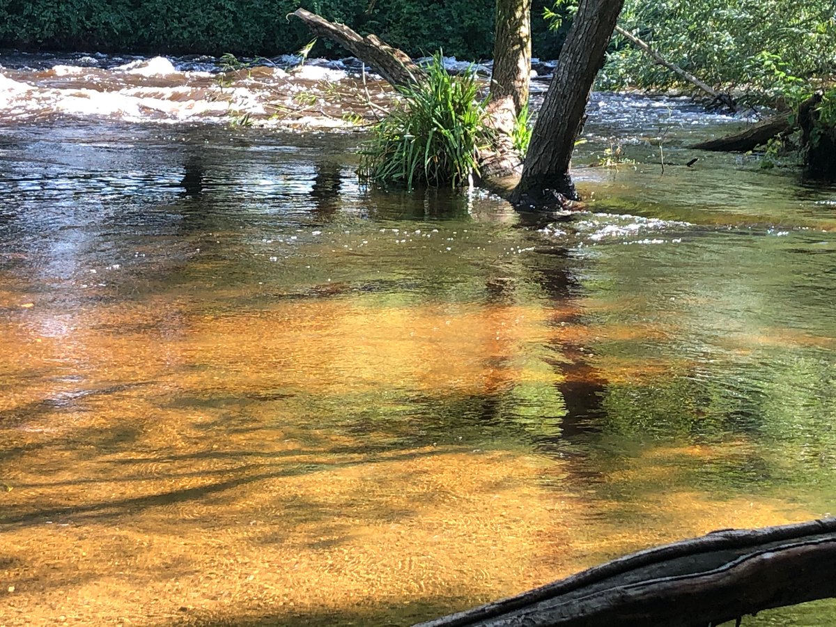 Soundingvisual's tweet photo. In one moment the river changes mood - the sun came out on the river Liffey yesterday.  #liffey #river #cellbridge https://t.co/r8M1Z7g713