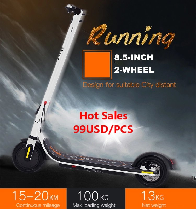 Emily_Freego's tweet image. Freego E scooter for sales
99 usd/pcs
only 500 pcs
