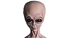 AlienLand3's tweet photo. 5%OFF Weekend Coupon!!

5% Discount Coupon Code →【 73LYAT8R 】

Please enter this code at your purchase.

2020/09/05 00:00 〜 2020/09/06 23:59

※The Used Coupon cannot be used. 
Also, if you mistakenly set it to "USED", you cannot use it.

Thank You!! https://t.co/DSeuMIEJGN