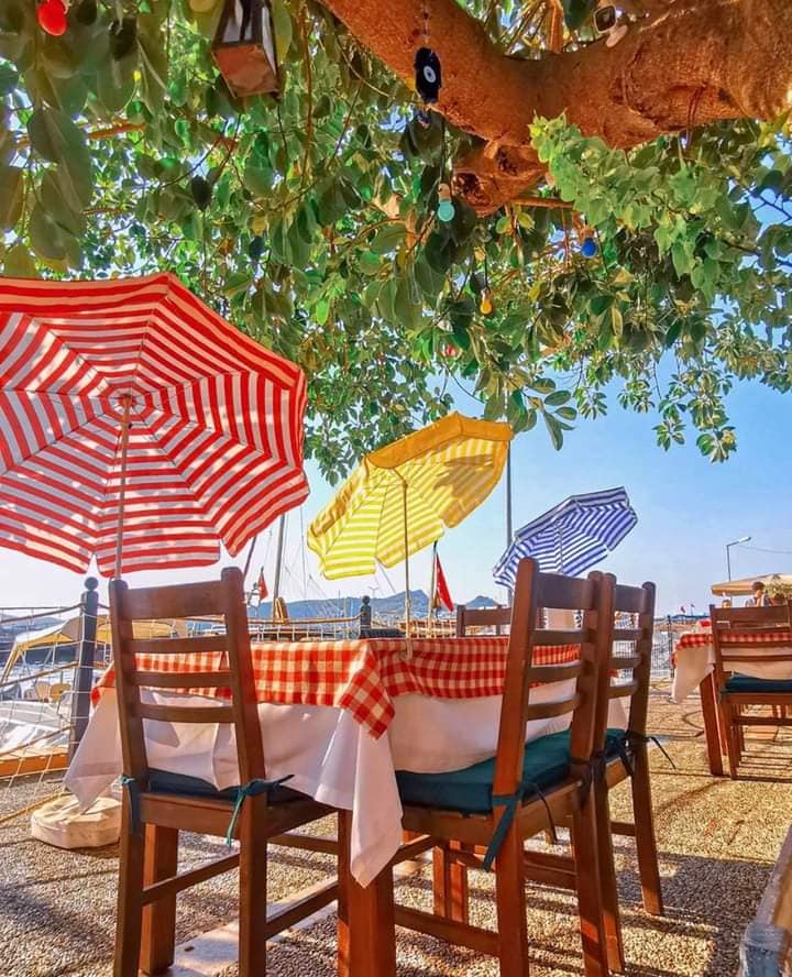 SteelbirdGocek's tweet photo. very little can beat #sailing out of #Gocek #Fethiye with #Steelbird on your thoughtfully presented #Jeanneau #yacht and our 24/7 back-up for your complete #peace of mind - all you have to do is catch the #wind and #enjoy yourselves #tremendously😎⚓️🇹🇷 https://t.co/x3X8wcwFjQ