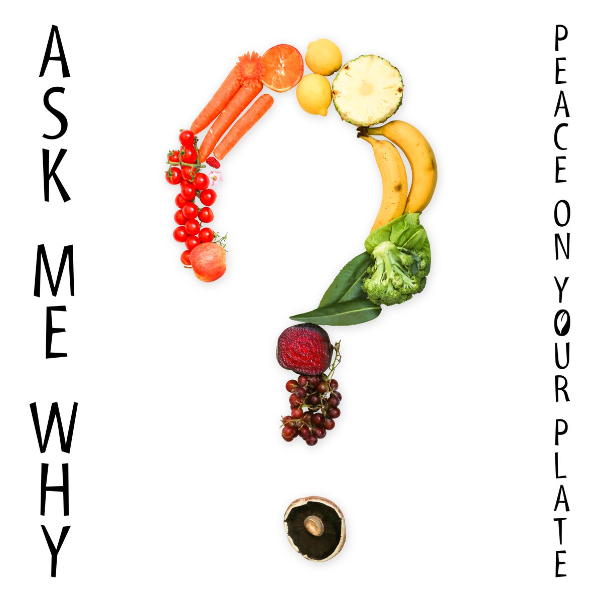 PeacePlate's tweet photo. New single #AskMeWhy available to download and stream now on all major platforms.

Find out where to get your copy here:

https://t.co/uWiJlXbjB5

Don't forget we're raising money for @AnimalAid 

#peaceonyourplate https://t.co/r4EkRlfBCl