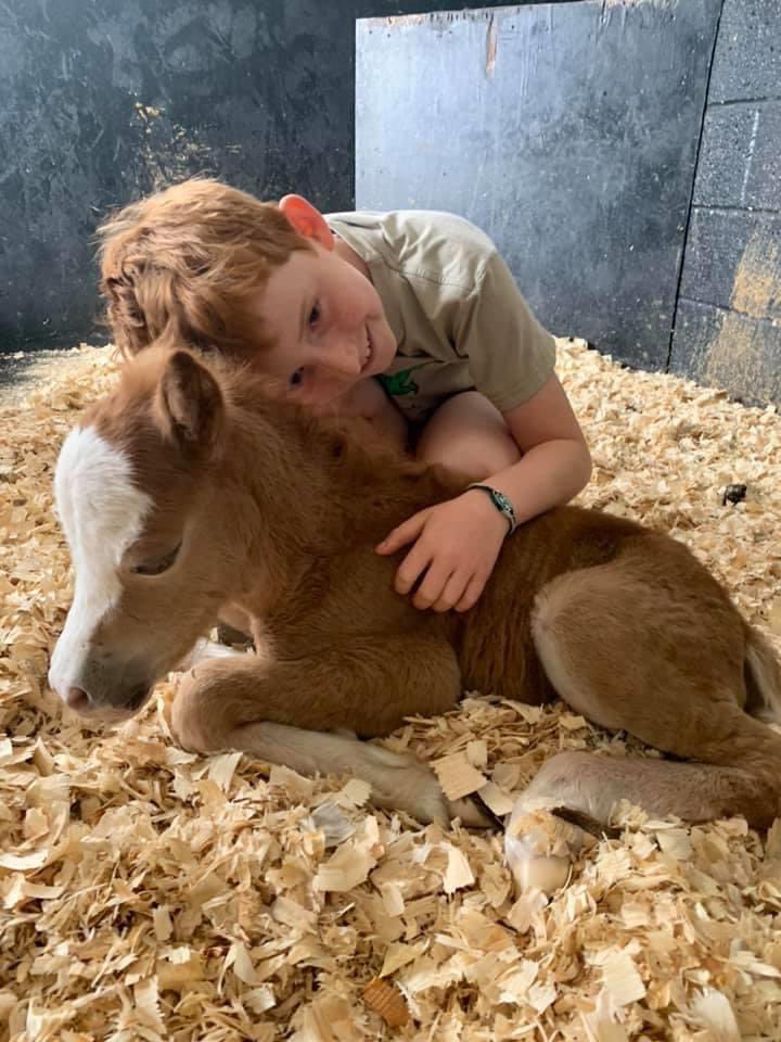 wickhamwicks's tweet photo. Still searching for foster mum for this small person or nanny goat preferably a milker or orphaned lamb for company. Please no time wasters as I have dealt with 100’s of hopefuls and been let down. She is such a little fighter. Thank you 🤞💕 https://t.co/qxTzJDEqi7