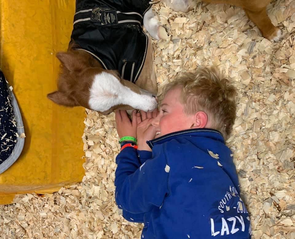 wickhamwicks's tweet photo. Still searching for foster mum for this small person or nanny goat preferably a milker or orphaned lamb for company. Please no time wasters as I have dealt with 100’s of hopefuls and been let down. She is such a little fighter. Thank you 🤞💕 https://t.co/qxTzJDEqi7