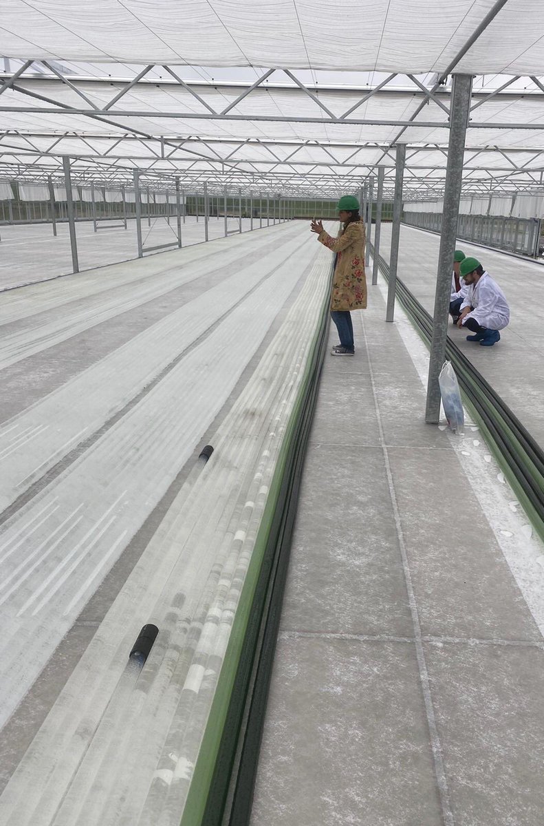 vrnQdebruijn's tweet photo. BIG DAY thanks to our team another BIG STEP forward: the startup of our DEMO plant in Delfzijl (NL) is a fact!! https://t.co/VRia2AE90q